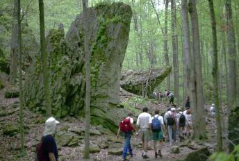 [Some Nifty Rocks]