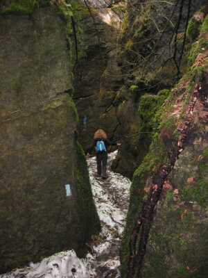 Singhampton Caves in the sprin!